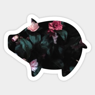 Pig Sticker